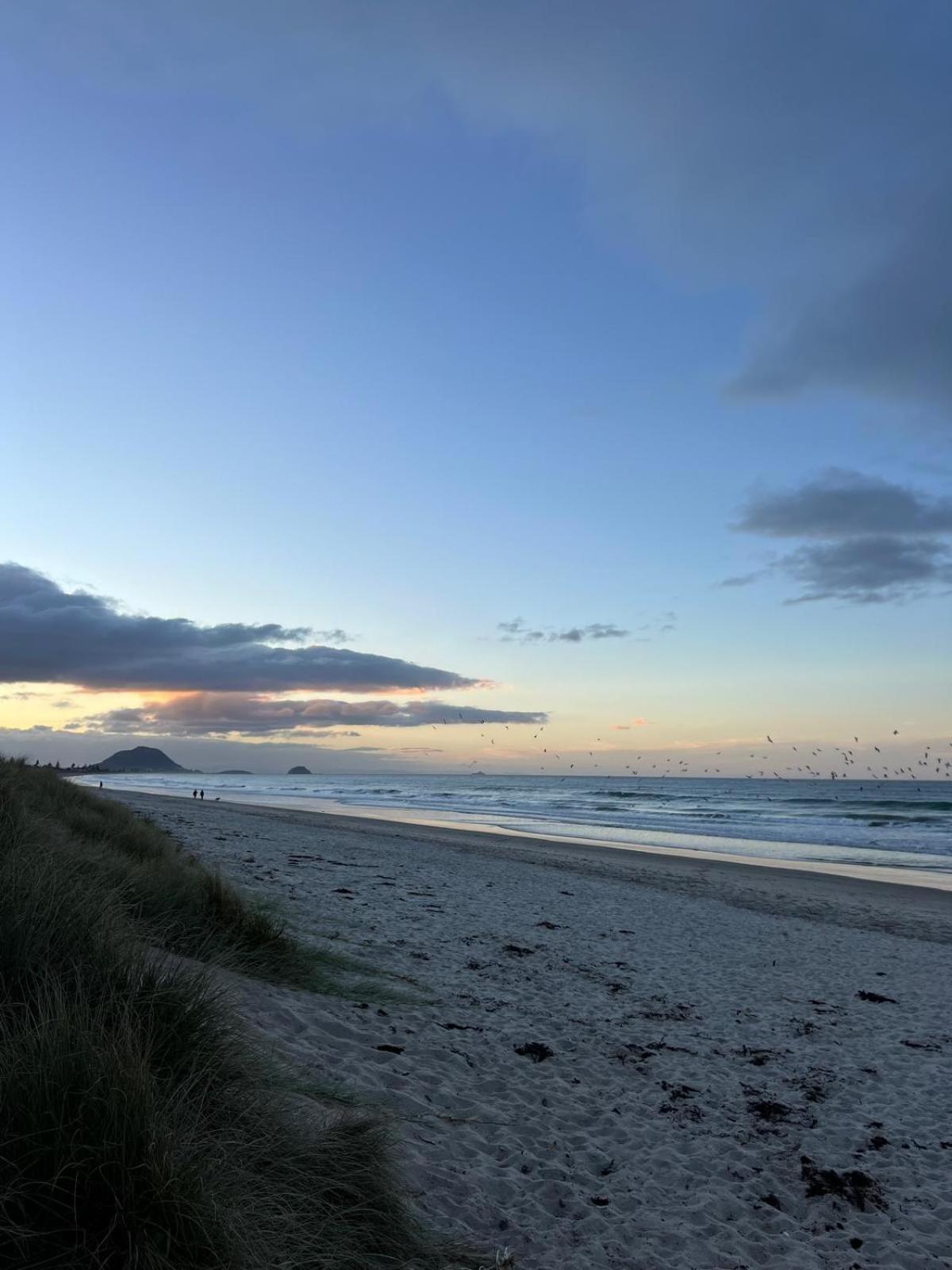 Papamoa Beach, Pohutukawa Deluxe Studio, On Hugoway Esterno foto